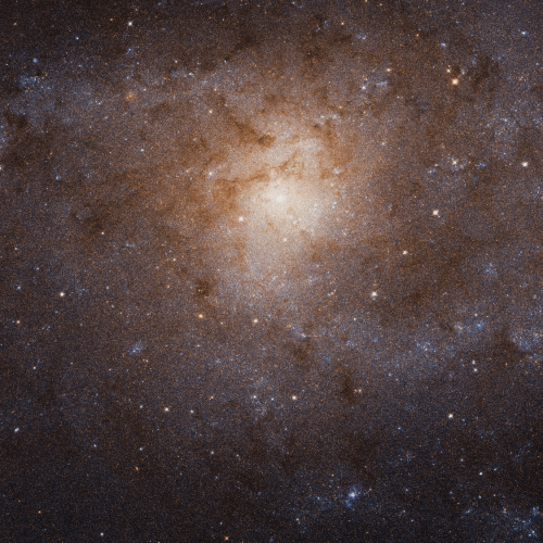 Triangulum galaxy (M33)