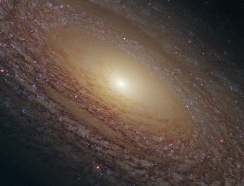NGC 2841: A Spiral Galaxy Suspended in Silence