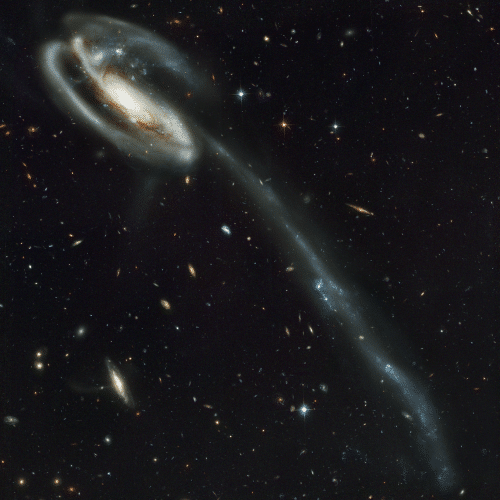 Tadpole Galaxy - Hubble