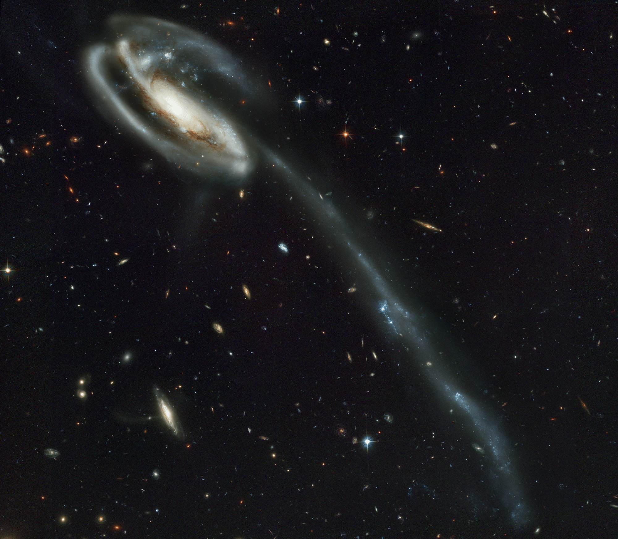 Tadpole Galaxy - Hubble